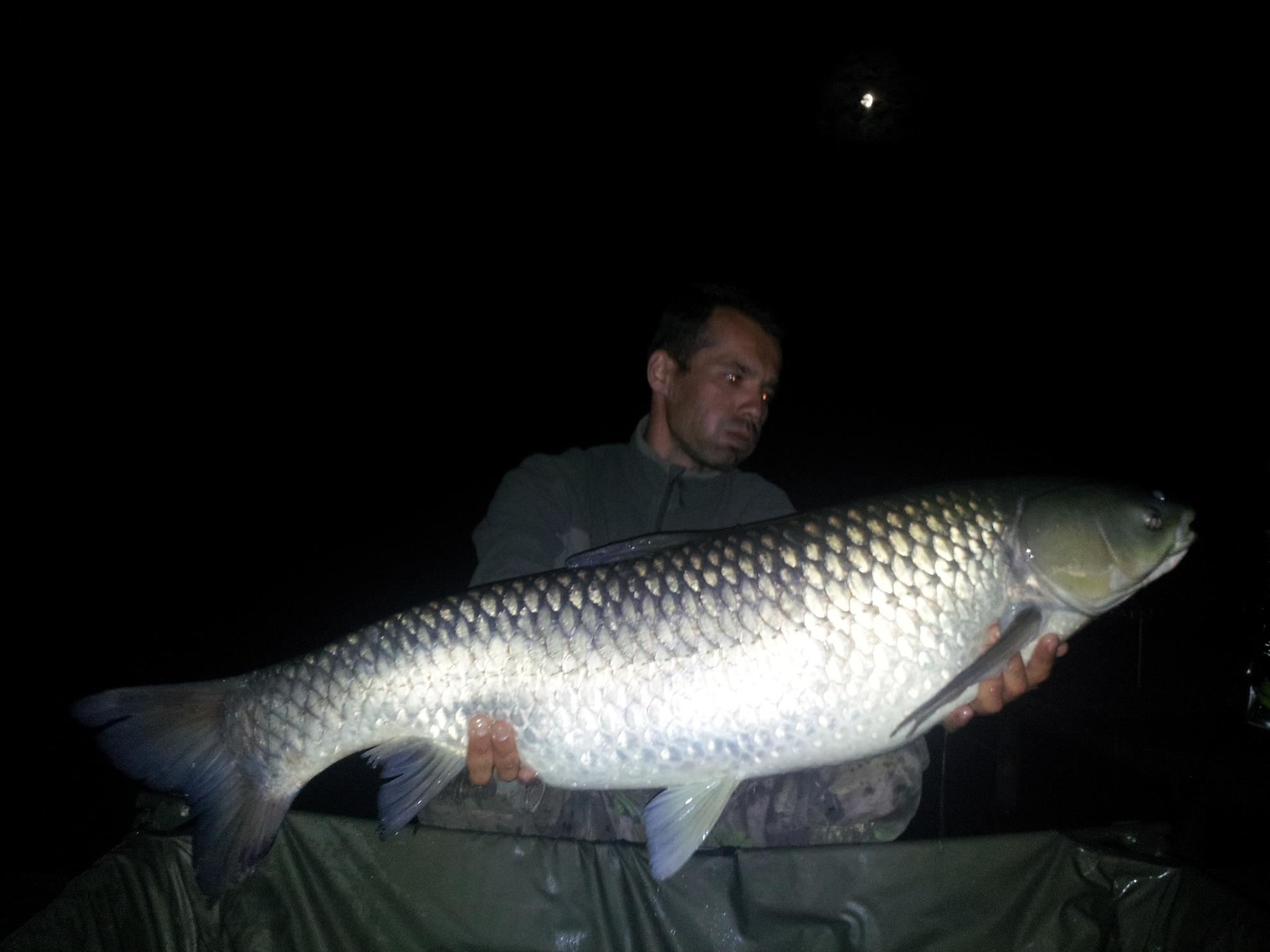 Tancabesti 31 aug- 7 sep  - 20140906004503.jpg